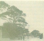 Road From Wheatfield to Portobello